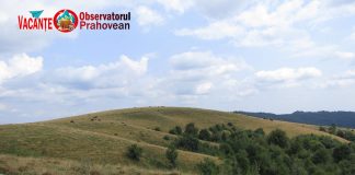 Idei de weekend: Alternativa pentru Vârful Secăria o reprezintă Vârful Comarnic… zis și Vârful Văcăria :)
