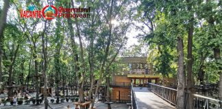 La Paradis Land din Neptun problema nu e doar țeapa pe care ți-o trag