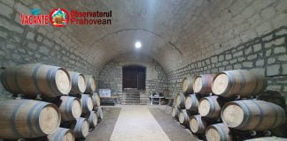 Crama de Piatră, locul din Prahova unde poți savura o mâncare bună, stropită cu un vin ediție limitată, între viile din Dealu Mare