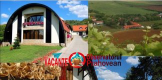 Podgoriile Aradului – Săgeata verde dintre vii