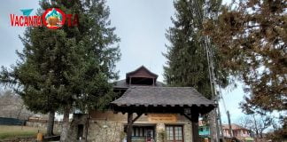 Muzeul Chihlimbarului de la Colți – Lacrimile de miere ale arborilor preistorici