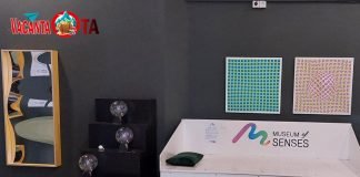 O vizită la Muzeul Simțurilor din Ploiești este o experiență de neuitat pentru cei mici