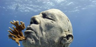 Muzeul subacvatic de la Cannes. O instalație creată după chipurile localnicilor