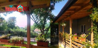 Vacanța la țară – Jurnal/Ziua 1 – Marea evadare