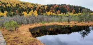 Harghita are obiective turistice cu adevărat incredibile: Lacul Sfânta Ana, Skigyimes, Cascada Vârșag și nu numai