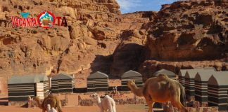 Wild Wadi Rum – Aventură în deșert. Prima parte: Tabăra de corturi dintre stânci