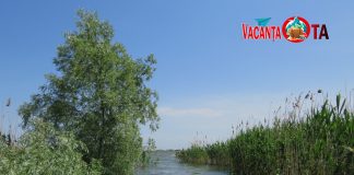 Cu barca în Delta Dunării, de la Murighiol la Pădurea Letea: timp, costuri, experiență barca delta dunarii