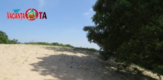 Pădurea Letea din Delta Dunării merită vizitată, măcar o dată în viață, pentru unicitatea ei dune nisip letea