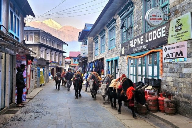 cristi minculescu himalaya