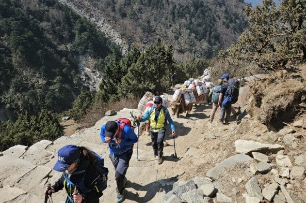 carat bagaje himalaya