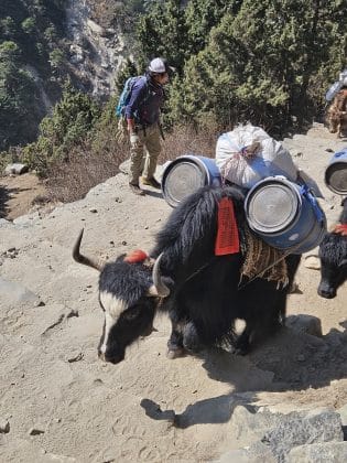 carat bagaje himalaya