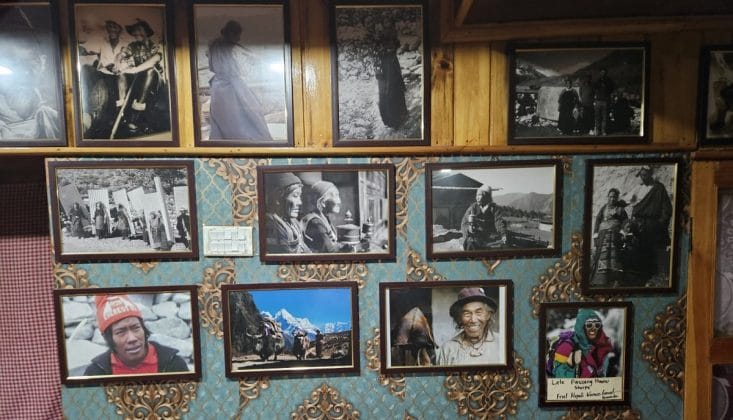 poze cafenea himalaya