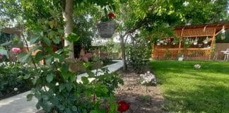 Cazare în Delta Dunării: Casa Lory răgazul tihnei în Victoria casa lory delta dunarii