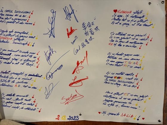 pensiunea satul bucovinean