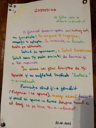 pensiunea satul bucovinean