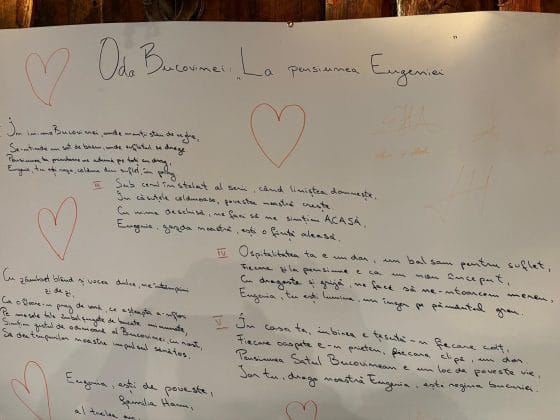 pensiunea satul bucovinean