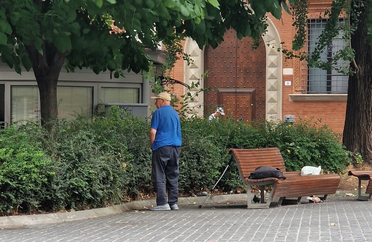 om al strazii bologna