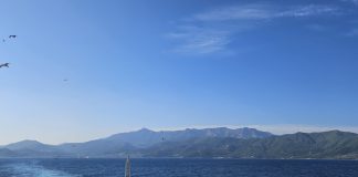 Thassos s-a „manelizat”. Acceptăm sau schimbăm destinația ferry thassos