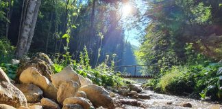 Cinci locuri mai puțin știute lângă Prahova unde poți fugi de aglomerație în weekend canionul-7-scari