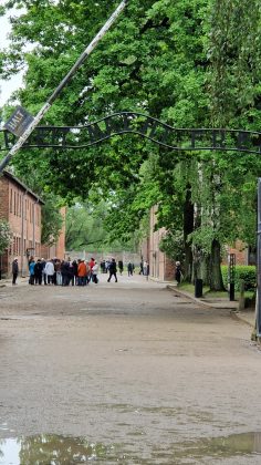 muzeul auschwitz birkenau