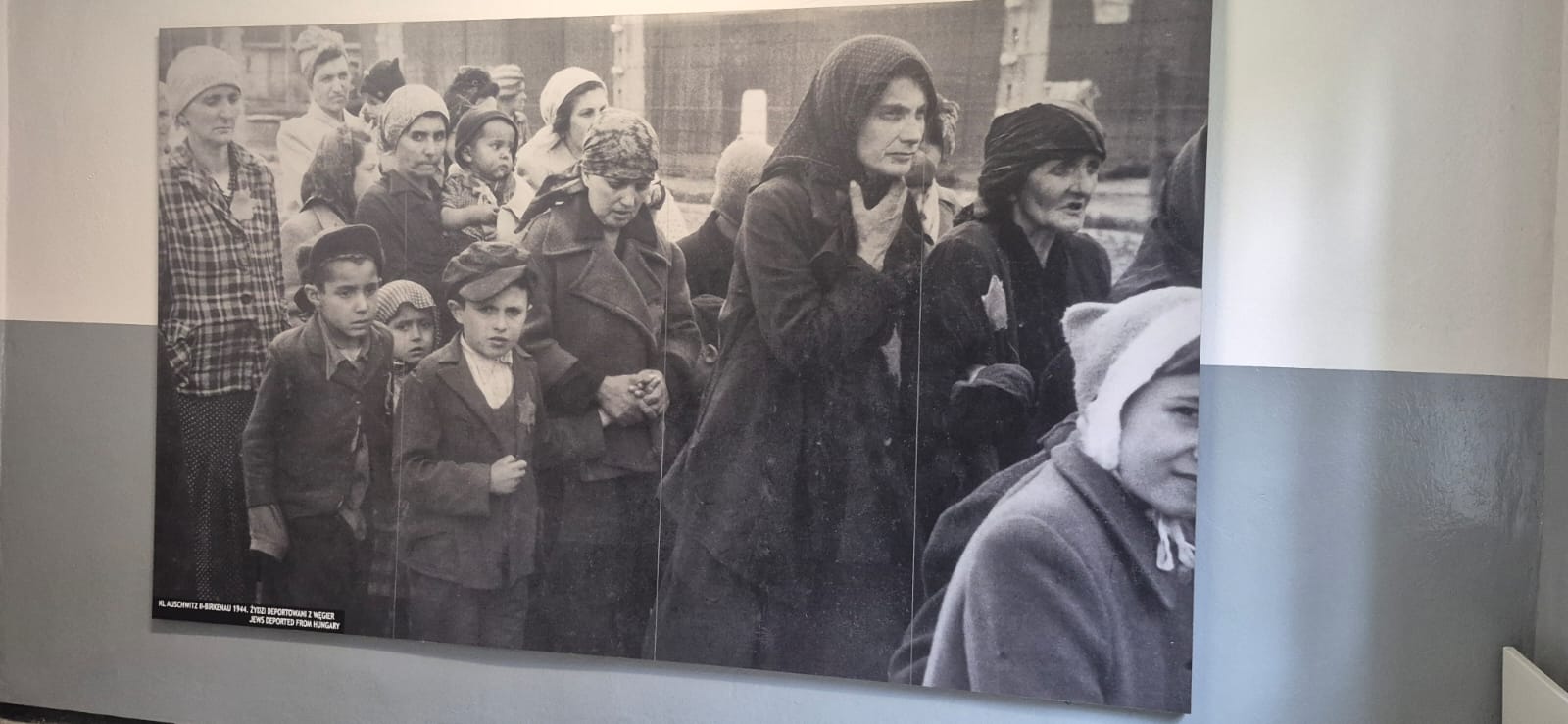 muzeul auschwitz birkenau