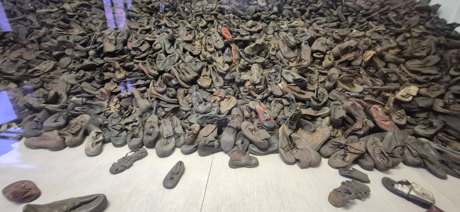 muzeul auschwitz birkenau