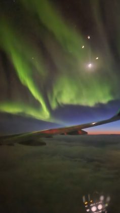 aurora boreala